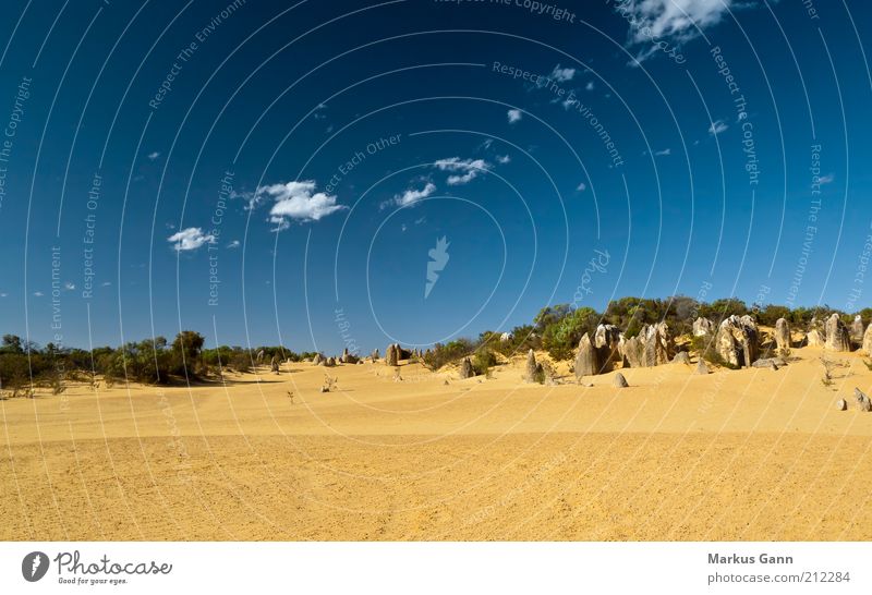 Wüste Ferien & Urlaub & Reisen Natur Landschaft Sand Himmel Wolken Klima gelb Australien Mineralien Nambung National Park Outback Pinnacles trocken blau Stein
