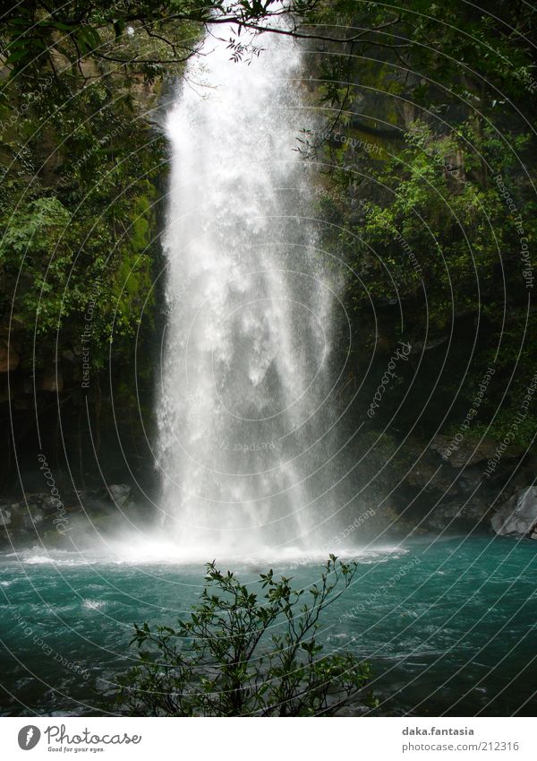 Wasserfall Landschaft Schönes Wetter Pflanze Urwald Menschenleer ästhetisch Flüssigkeit frisch nass positiv schön weich blau grün weiß ruhig Energie rein