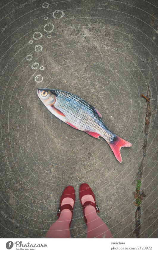 fisch an land (2) Fisch Attrappe Papier falsch Surrealismus seltsam Beine Fuß Schuhe Strümpfe stehen Außenaufnahme weiblich Straße rosa rot Blase