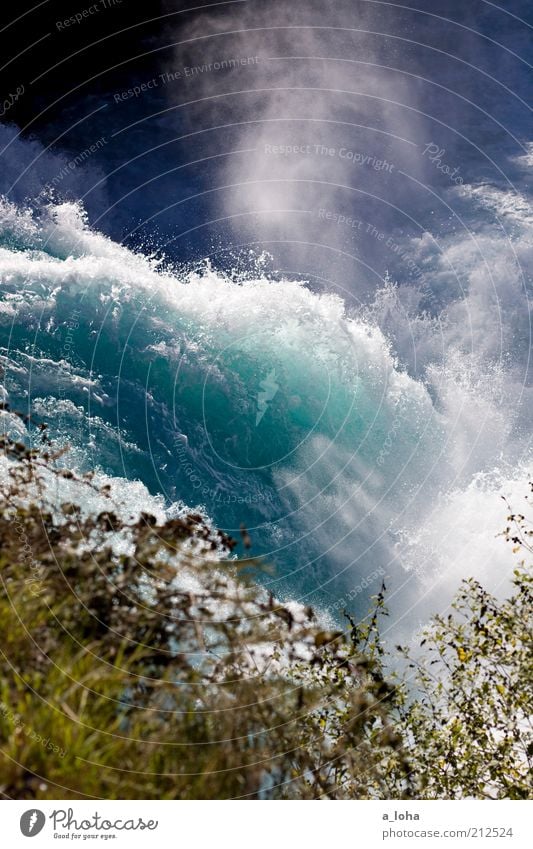 huka falls Tourismus Ausflug Ferne Natur Urelemente Schlucht Wellen Flussufer Wasserfall Bewegung außergewöhnlich Flüssigkeit gigantisch nass natürlich blau