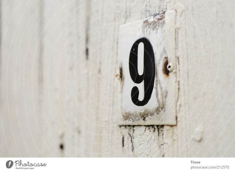 Hausnummer 9 auf weißer Holzwand Ziffern & Zahlen Schilder & Markierungen alt Vergänglichkeit Wandel & Veränderung Holztür angemalt Farbanstrich abblättern