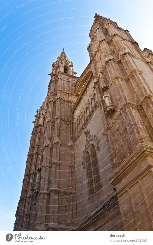 cathedral Palma de Mallorca Kirche Bauwerk Gebäude Architektur Sehenswürdigkeit alt blau braun Farbfoto Außenaufnahme Menschenleer Tag Sonnenlicht
