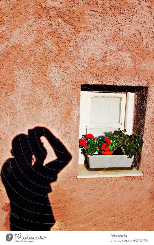 Schatten an der Wand maskulin Mann Erwachsene 1 Mensch Kunst Künstler Mauer Fassade Fenster machen ästhetisch authentisch gut positiv ruhig Fensterbrett