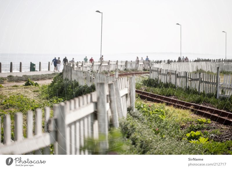 135 [Wege & Pfade] Lifestyle harmonisch Tourismus Sommerurlaub Feierabend Mensch Leben Umwelt Park Kapstadt Bahnfahren Eisenbahn Gleise laufen ästhetisch