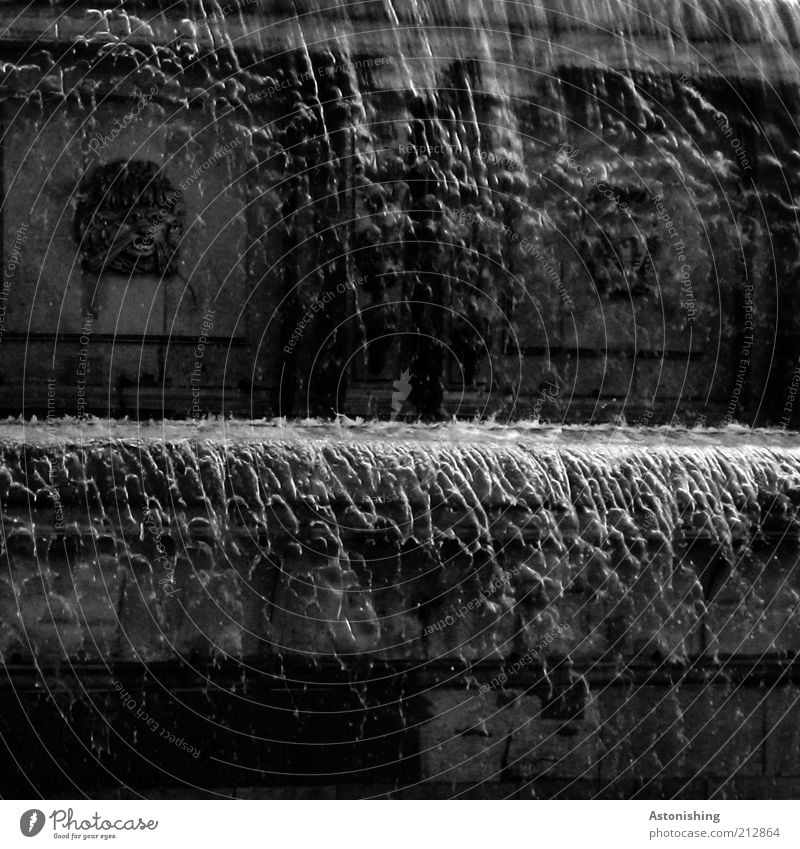 erster und zweiter Stock Wasser Wassertropfen Bauwerk fallen grau schwarz silber weiß Brunnen Wien Löwe spritzen fließen Stein Marmor durchsichtig nass feucht