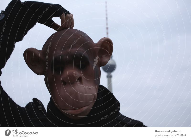 Affenstadt Mensch Kopf Hand 1 Jugendkultur Fan Berliner Fernsehturm Hauptstadt Turm Wildtier Tiergesicht Stadtaffe Menschenaffen Maske Kostüm Denken verrückt