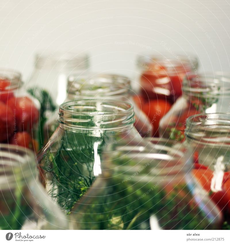 Tomaten einlegen Lebensmittel Gemüse Dill Kräuter & Gewürze Einmachglas Tomatenglas Glas lecker grün rot Delikatesse konservieren Haltbarkeit konserviert