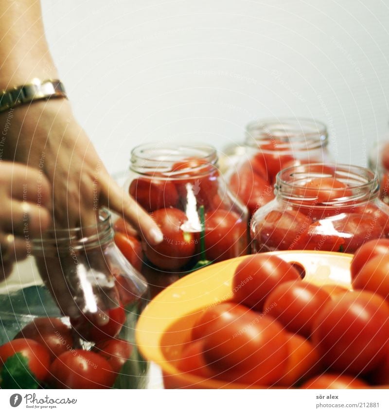 Tomaten hin-einlegen Lebensmittel Gemüse Hand Einmachglas Tomatenglas Glas Arbeit & Erwerbstätigkeit lecker rot weiß Delikatesse Selbstständigkeit konservieren