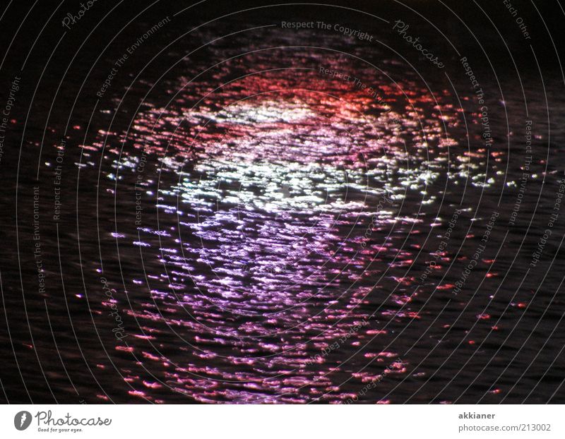 Spiegelung Urelemente Wasser nass violett rot schwarz Reflexion & Spiegelung Wasseroberfläche Farbfoto Außenaufnahme Menschenleer Abend Nacht Schatten