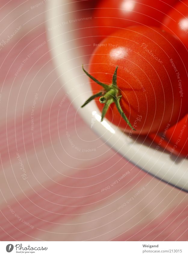 The red side of life Lebensmittel Gemüse Ernährung Bioprodukte Vegetarische Ernährung rot lecker Tomate Landlust frisch Gesundheit Farbfoto Außenaufnahme