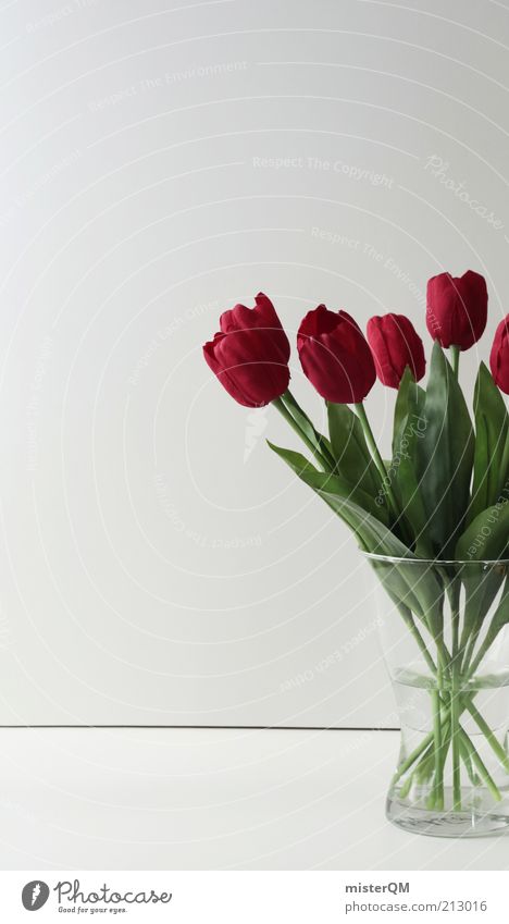 Immerfrisch. Pflanze sparsam ästhetisch Design Kitsch Blume Blumenstrauß Blumenstengel Tulpe rot Kunstblume Vase Dekoration & Verzierung modern Frühling