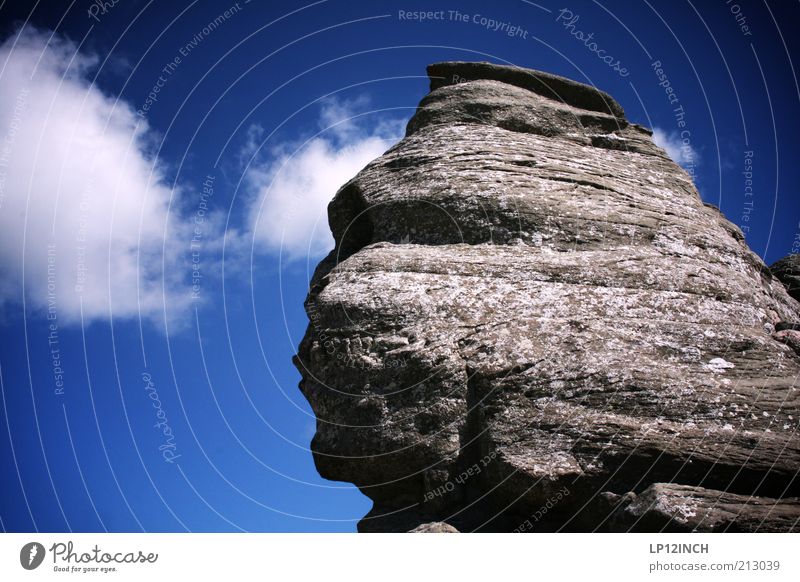 Sfinxul Berge u. Gebirge Umwelt Natur Landschaft Himmel Sommer Felsen Rumänien Sehenswürdigkeit Stein außergewöhnlich Bekanntheit blau grau skurril Gesicht Kopf