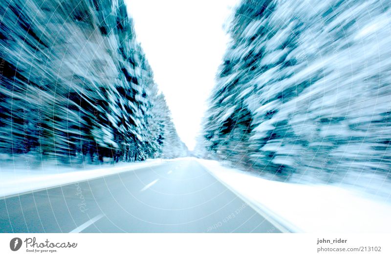 Forst Speed Winter Eis Frost Schnee Baum Wald Verkehrswege Autofahren Straße Fahrzeug träumen bedrohlich Ferne kalt nachhaltig blau Kraft Tatkraft Todesangst