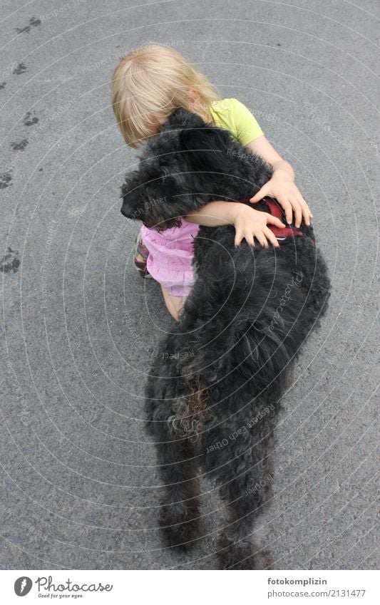 kniendes Kind umarmt Hund Umarmen Mädchen berühren Kindheit Haustier Tier Zusammensein Streicheln nah Vertrauen Einigkeit umarmung Freundschaft Tierliebe