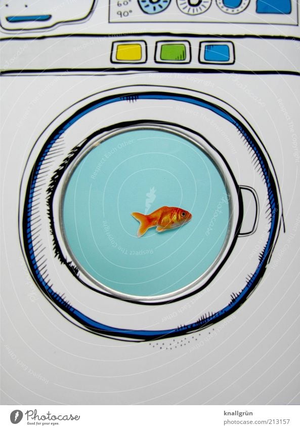 Gleich geht's rund! Tier Fisch Goldfisch 1 Waschmaschine blau weiß bizarr skurril Überleben Tierhaltung Aquarium Bullauge Schleudergang Schonwaschgang
