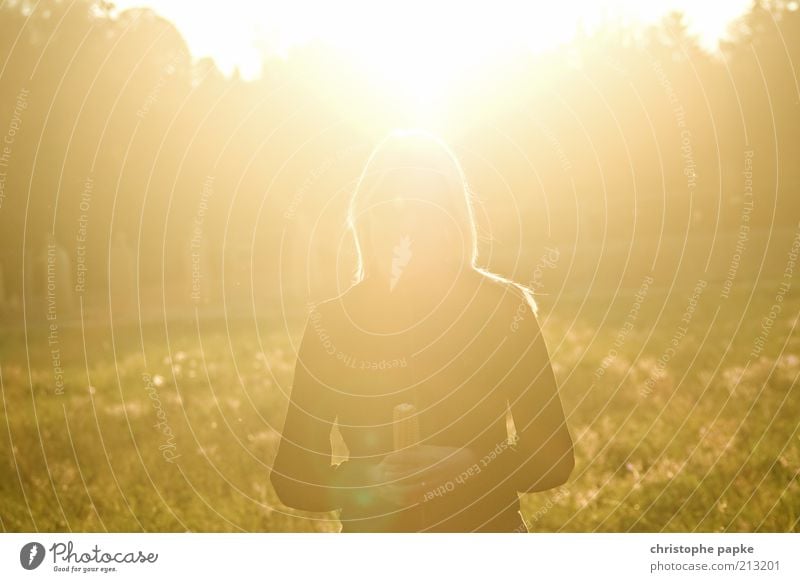 Gewinnerin des goldenen Maiskolbens Sommer feminin Junge Frau Jugendliche 1 Mensch 18-30 Jahre Erwachsene Sonne Sonnenlicht Herbst Schönes Wetter Feld hell