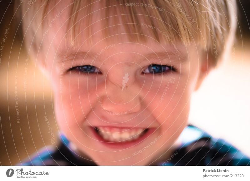 Stinker Mensch maskulin Kind Kleinkind Kindheit Kopf Gesicht 1 3-8 Jahre Blick Glück schön Gefühle Stimmung Freude Fröhlichkeit Zufriedenheit lachen strahlend