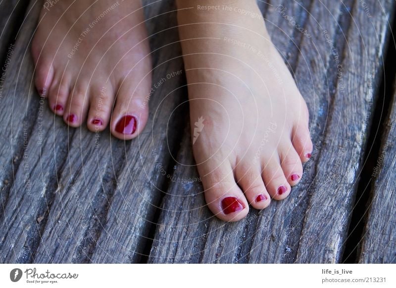 barfuß - Freiheit für die Füße! elegant Stil schön Pediküre Nagellack Leben Wohlgefühl Sommer feminin Frau Erwachsene Haut Fuß Zehen Zehennagel ästhetisch