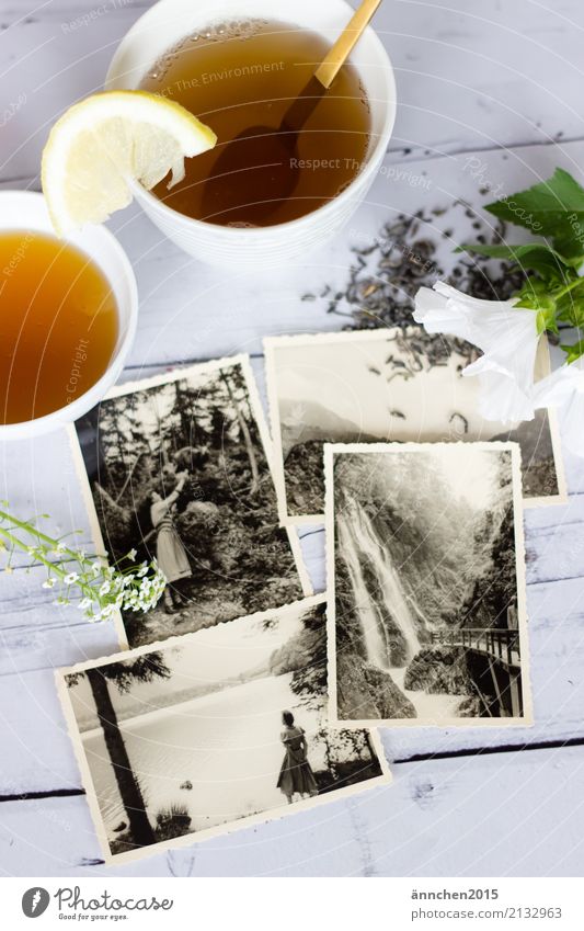 Erinnerungen Tee trinken erinnern alt Senior früher Fotografie Großmutter Großvater Großeltern schwarz weiß hell Erholung Vergangenheit grün Blüte loser Tee