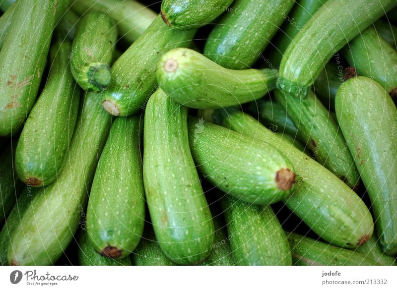 Zucchini Lebensmittel Gemüse glänzend grün viele Strukturen & Formen Frucht Vegetarische Ernährung Farbfoto mehrfarbig Außenaufnahme Tag Schatten