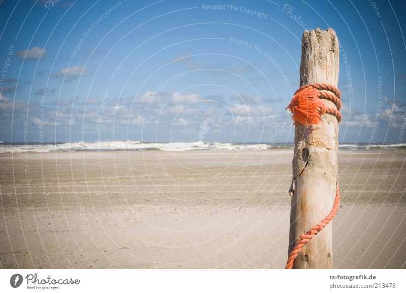 Hollandtag auf Norderney II Ferien & Urlaub & Reisen Sommer Sommerurlaub Sonne Strand Meer Wellen Umwelt Natur Sand Wasser Himmel Wolken Schönes Wetter Küste