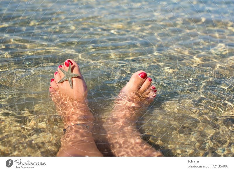 Entspannen Sie Sich Design exotisch schön Nagellack Erholung Sommer Strand Meer Dekoration & Verzierung Tapete Frau Erwachsene Fuß Natur Sand natürlich blau