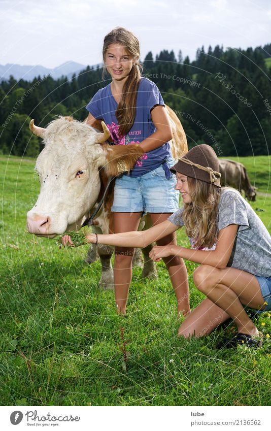 Zwei Cowgirls Zufriedenheit Landwirtschaft Forstwirtschaft Jugendliche Umwelt Natur Landschaft Sommer Tier Haustier Nutztier Kuh festhalten Bregenzerwald Hirte