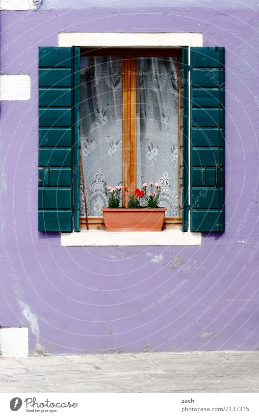 !trash! 2017 | Li-La-Launehaus Ferien & Urlaub & Reisen Burano Venedig Italien Dorf Fischerdorf Altstadt Haus Mauer Wand Fassade Fenster Fensterladen