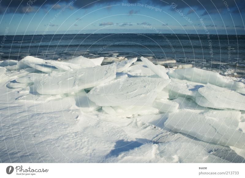 Sommah is vorbei Umwelt Natur Landschaft Urelemente Wasser Horizont Winter Klima Klimawandel schlechtes Wetter Eis Frost Schnee Küste Ostsee Meer