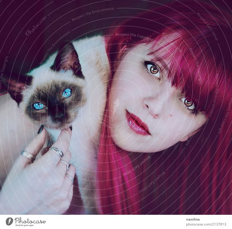 Junge Frau mit ihrer siamesischen Katze Mensch feminin Jugendliche 1 18-30 Jahre Erwachsene Ring rothaarig langhaarig Tier Haustier Hund Tiergesicht Tierjunges