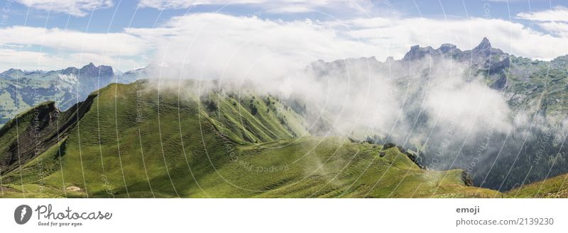 Nebelschwaden Umwelt Natur Landschaft Sommer Herbst Schönes Wetter Hügel Alpen Berge u. Gebirge natürlich grün Nebelbank Schweiz Tourismus