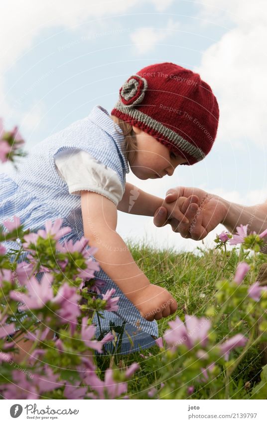 Ein Blümchen Ausflug Sommer Sommerurlaub Kindererziehung Bildung lernen Kleinkind Mädchen Familie & Verwandtschaft Kindheit Hand 1-3 Jahre Natur Blume Blüte