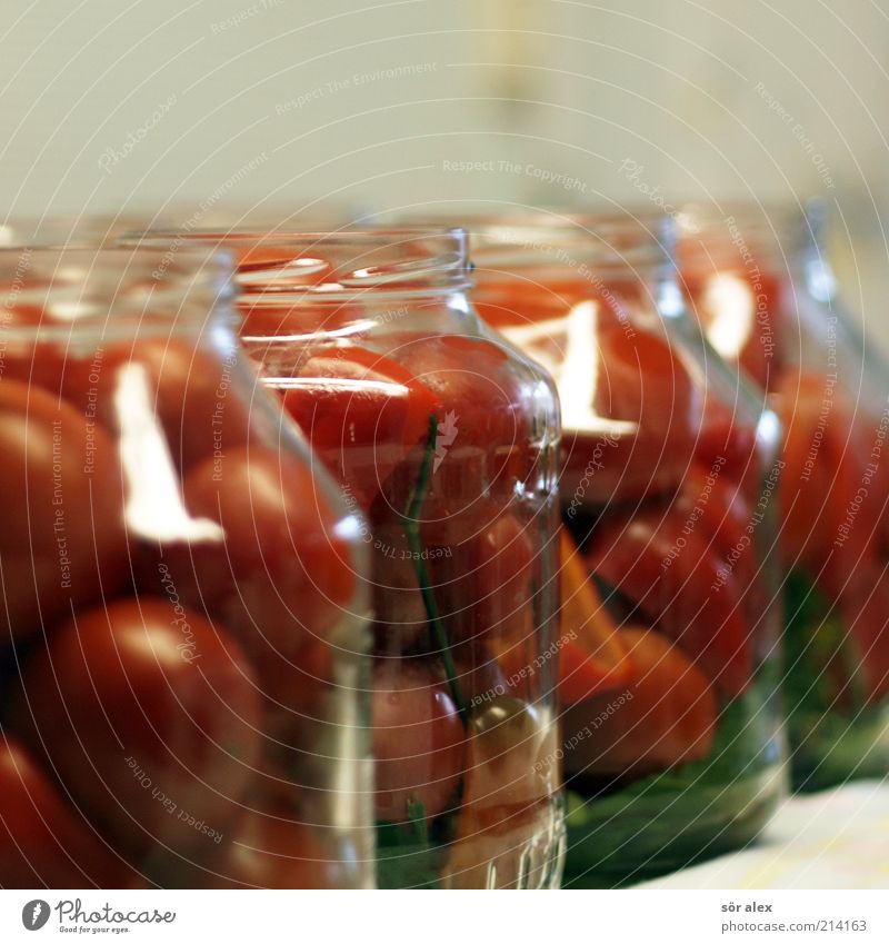 Tomaten in Gläsern Lebensmittel Gemüse Ernährung Einmachglas Glas Tomatenglas Delikatesse konservieren einmachen einlegen Haltbarkeit selbstgemacht genießen