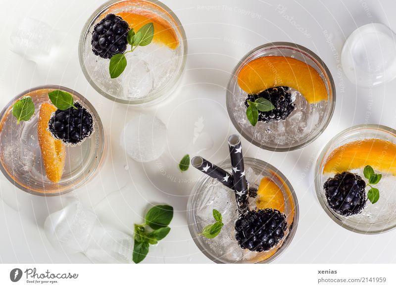 Fünf Gläser Vitaminwasser mit Brombeeren, Nektarine, Eiswürfel und Oregano Erfrischungsgetränk Bioprodukte Frucht Diät Fasten Getränk Trinkwasser Glas Trinkhalm