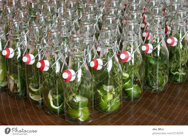 Stillgestanden! Flasche Glas glänzend grün rot Verschlussdeckel Bügelverschluss Limone Thymian Holz einmachen selbstgemacht Farbfoto mehrfarbig Innenaufnahme