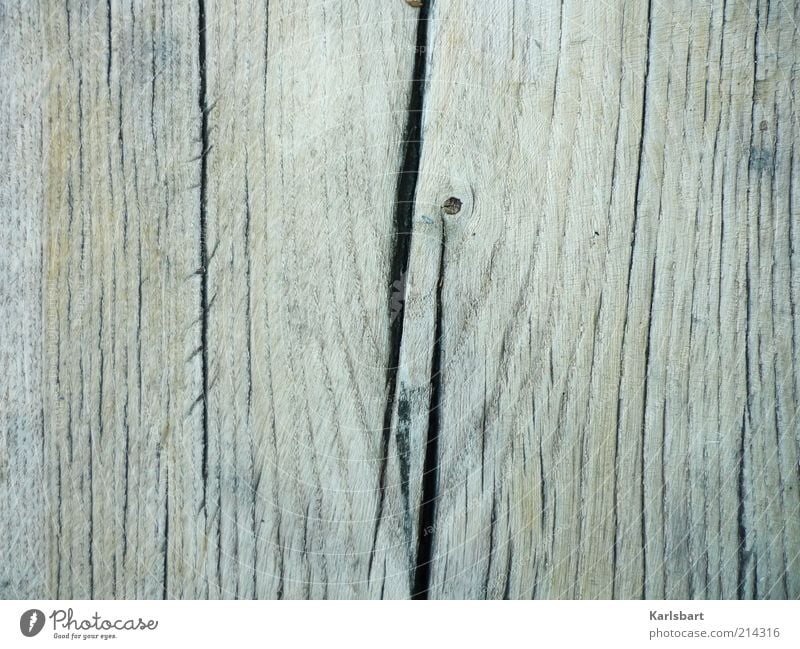 years [cut] Umwelt Natur Baum Holz grau einzigartig Strukturen & Formen Riss Baumstamm Farbfoto Gedeckte Farben Außenaufnahme Nahaufnahme Detailaufnahme Muster