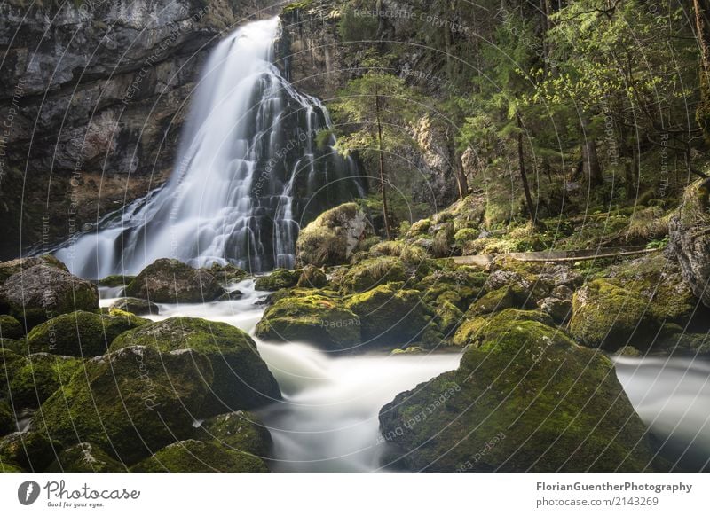 Gollinger Wasserfall Umwelt Natur Landschaft Erde Frühling Sommer Schönes Wetter Pflanze Alpen Flussufer Golling an der Salzach Österreich Europa überbevölkert