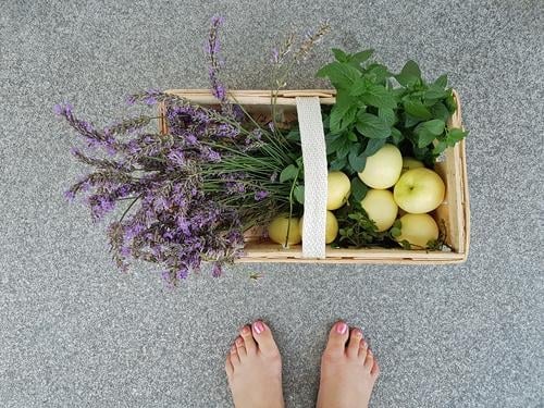 Eigene Ernte Mensch feminin Frau Erwachsene Fuß 1 Umwelt Natur Pflanze Sommer Blume Blatt Blüte Nutzpflanze Garten hell nah natürlich grün violett Lavendel