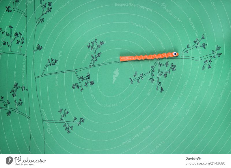 Raupe Kunst Ausstellung Kunstwerk Umwelt Natur Landschaft Sonne Frühling Sommer Klima Schönes Wetter Pflanze Baum Blatt Tier Nutztier Schlange Wurm Zoo 1