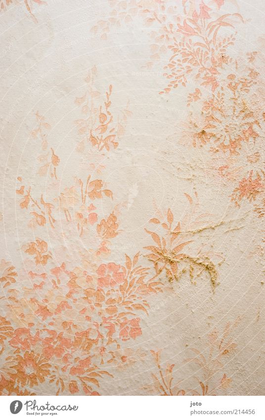 Tapetenmuster Stil Design Kunst Pflanze Blume Mauer Wand alt ästhetisch dreckig hell retro schön rosa weiß fein zart orange Hintergrundbild Muster