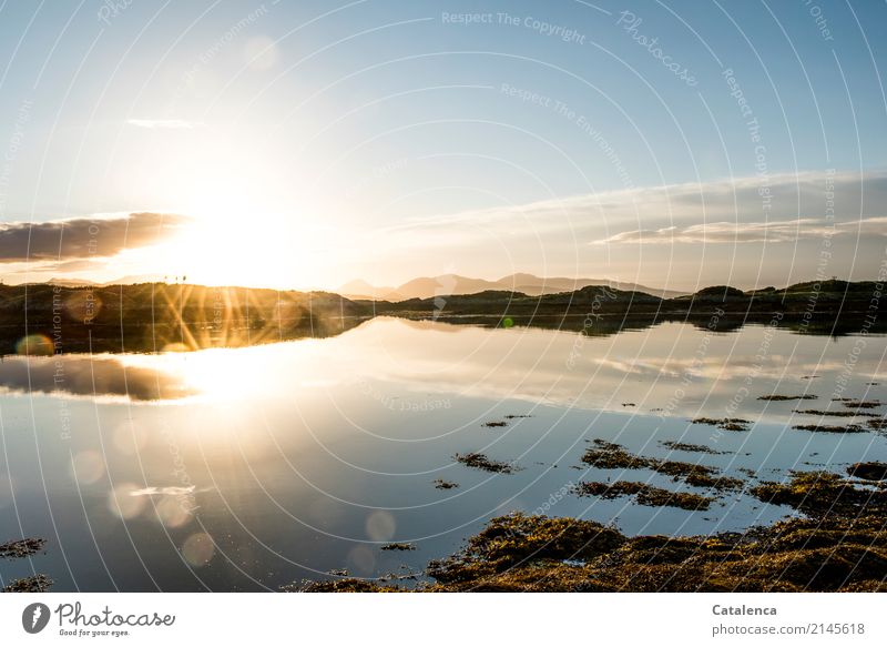Doppelbeleuchtung Sonne spiegelt sich im Wasser der Bucht Natur Landschaft Himmel Horizont Sonnenlicht Schönes Wetter Algen Felsen Berge u. Gebirge Küste Meer