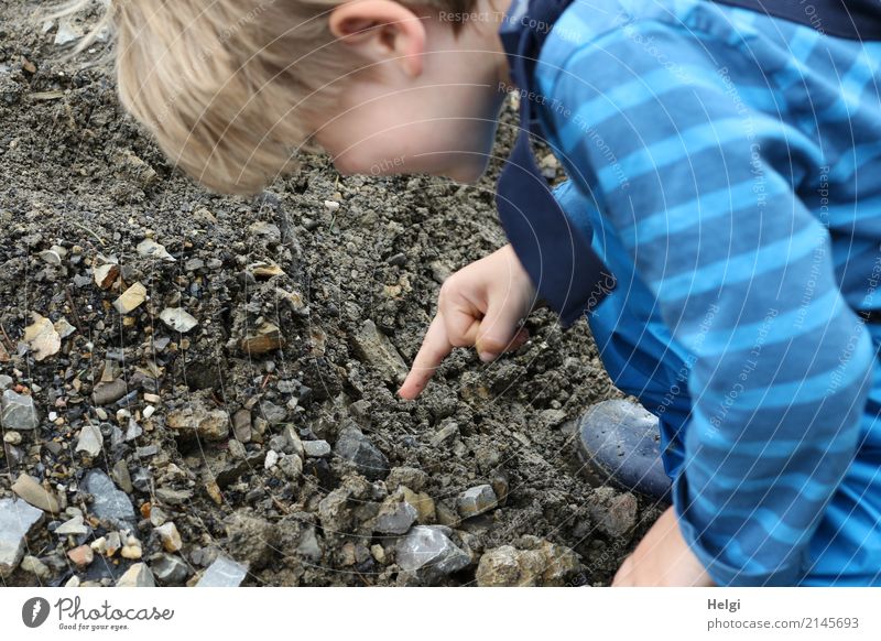 kleiner Junge zeigt auf den Weg, auf dem er etwas entdeckt hat Mensch maskulin Kleinkind Kindheit 1 3-8 Jahre Umwelt Natur Feld T-Shirt Regenhose Gummistiefel