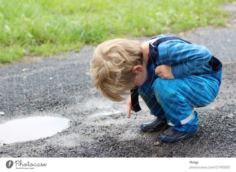 kleiner Jungen hockt auf einem regennassen Weg und zeigt auf einen Wurm Mensch maskulin Kleinkind Kindheit 1 3-8 Jahre Umwelt Natur Wasser Sommer
