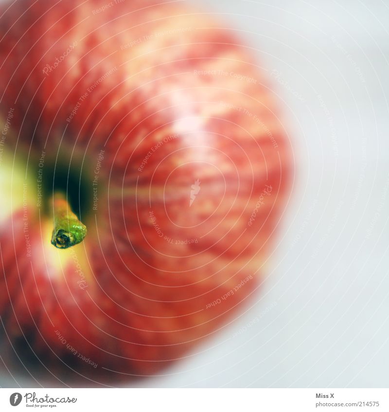 suche Mann mit Stiel Lebensmittel Frucht Ernährung Bioprodukte Vegetarische Ernährung Diät Gesundheit lecker saftig sauer süß Stengel rein Apfel Apfelstiel rot