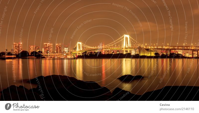 Nachts in Tokio Tokyo Japan Asien Stadtrand Skyline Menschenleer Brücke Bauwerk Gebäude Architektur Sehenswürdigkeit Verkehr Verkehrsmittel Verkehrswege