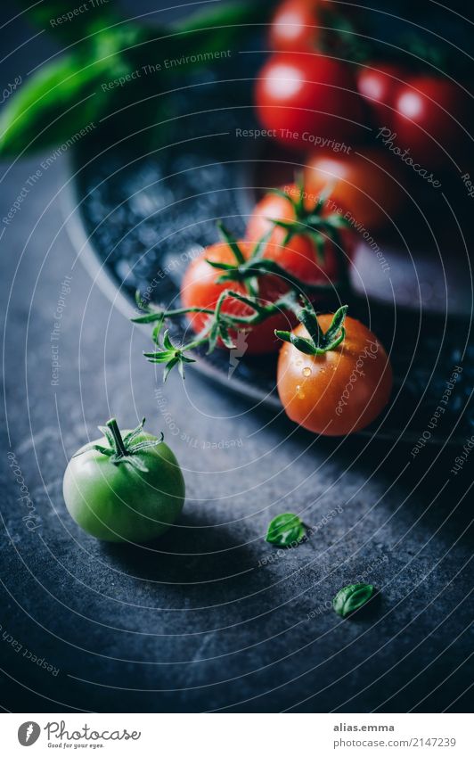 Frische Tomaten Gemüse rot grün reif unreif Ernte Gesundheit Gesunde Ernährung Essen Foodfotografie aromatisch lecker dunkel mystisch Stillleben Licht Schatten