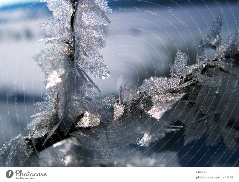 Eisnadeln kalt Winter gefroren frieren Kristallstrukturen Reifezeit Raureif Schnee Sublimation Wachstum