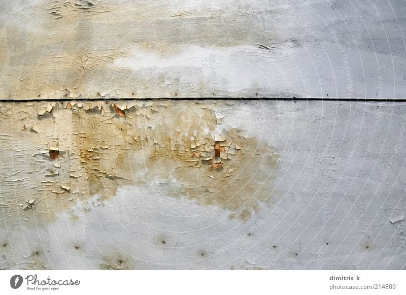 abziehbare Farbe Ruine Holz alt weiß Verfall Schimmelpilze schimmelig Konsistenz Pilz Hintergrundbild Zimmerdecke benetzt Schwüle Wasser Flecken Oberfläche