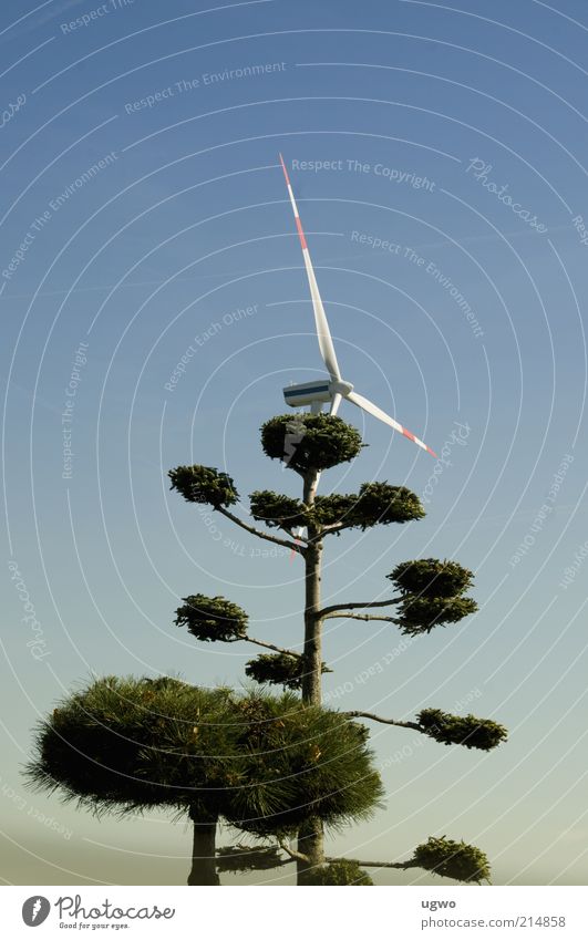 grüner wind Energiewirtschaft Windkraftanlage Umwelt Luft Himmel Schönes Wetter Baum drehen hoch blau ruhig Farbfoto Außenaufnahme Tag Blauer Himmel