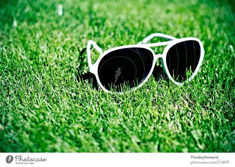 Sonnenbrille Lifestyle Stil Freude Tourismus Sommer Sommerurlaub Sonnenbad Natur Erde Sonnenlicht Schönes Wetter Gras Garten Kunststoff genießen hängen Lächeln